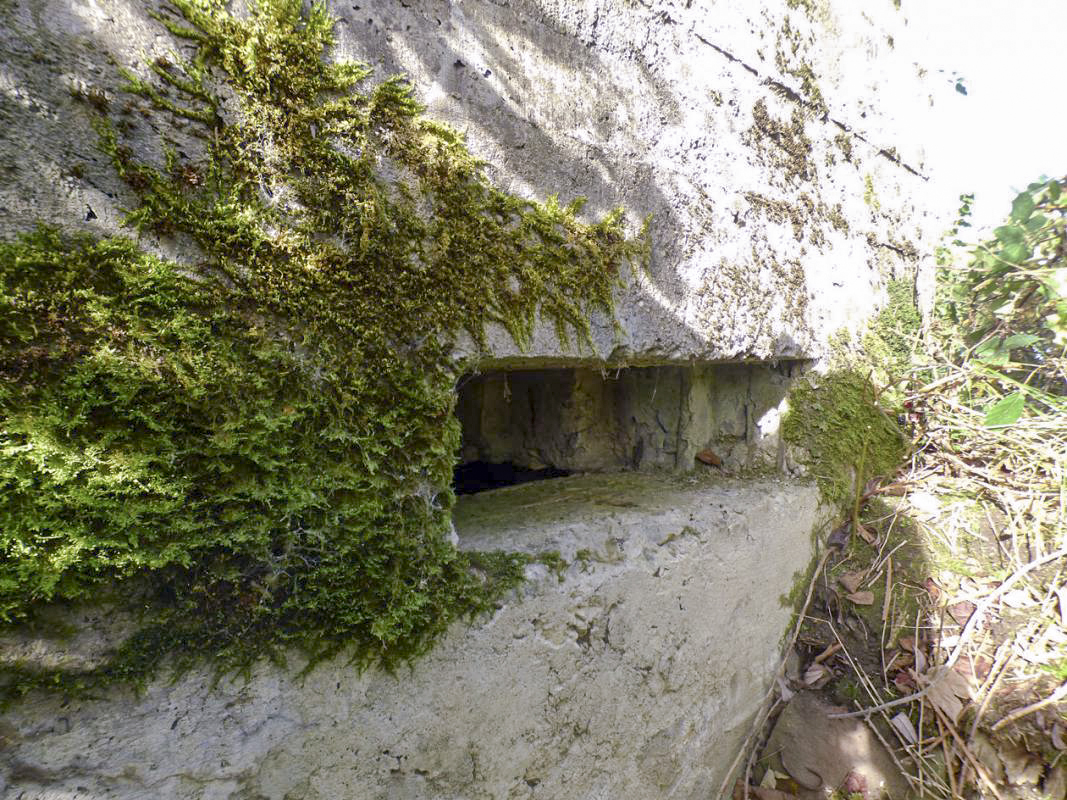 Ligne Maginot - BB27-A - FEPIN NORD - (Blockhaus pour arme infanterie) -  - JMBrams