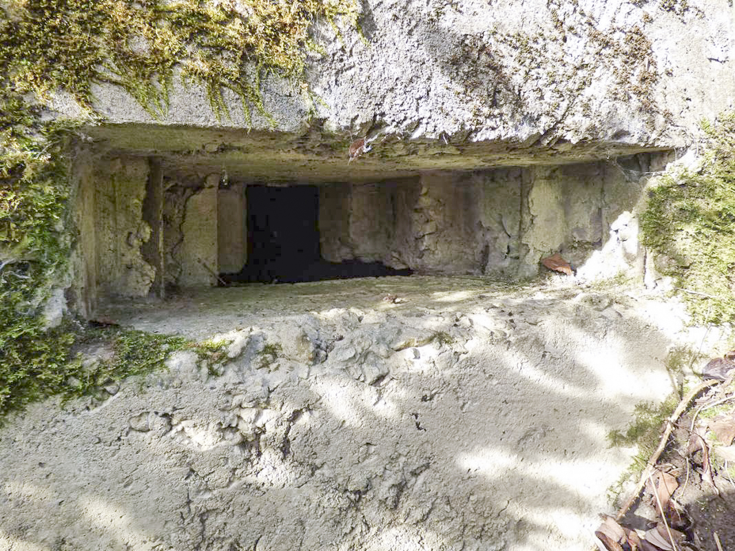 Ligne Maginot - BB27-A - FEPIN NORD - (Blockhaus pour arme infanterie) -  - JMBrams