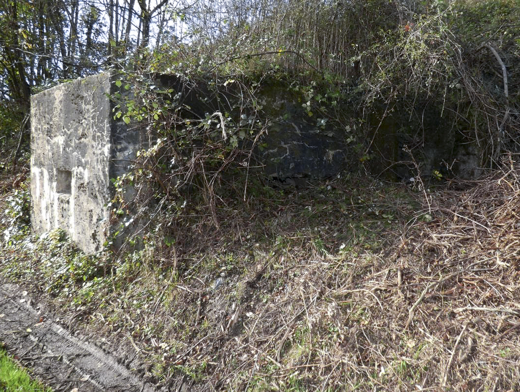 Ligne Maginot - BB27-C - FEPIN SUD - (Blockhaus pour arme infanterie) - 