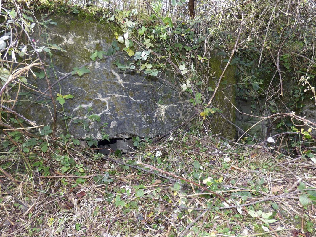 Ligne Maginot - BB27-C - FEPIN SUD - (Blockhaus pour arme infanterie) - 