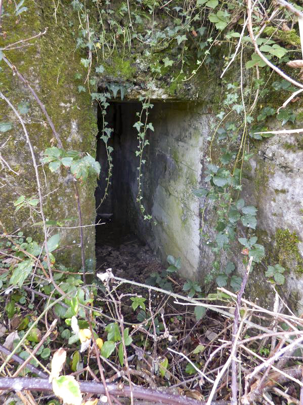 Ligne Maginot - BB27-C - FEPIN SUD - (Blockhaus pour arme infanterie) - 