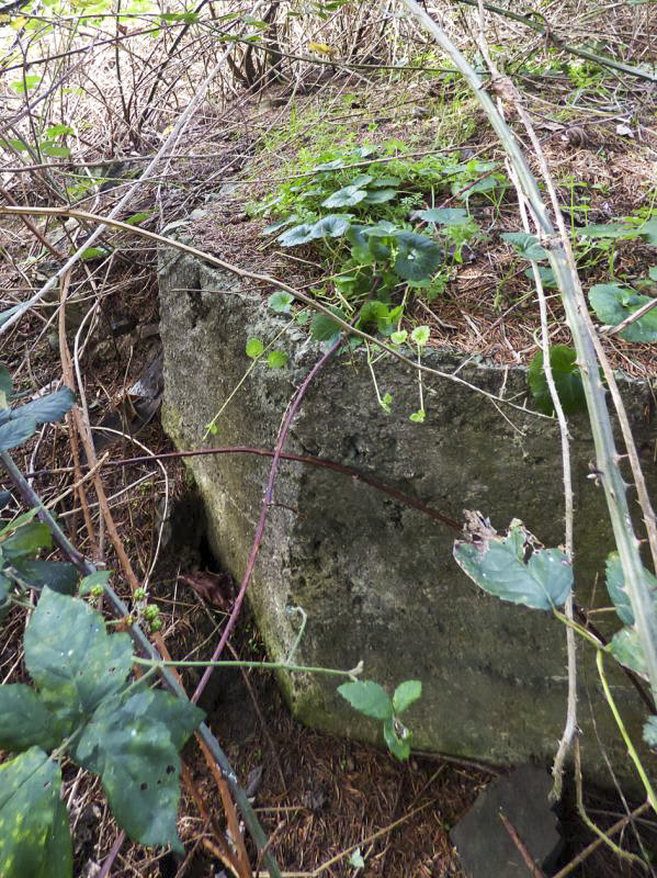 Ligne Maginot - BB27 - LA MENERIE - (Blockhaus pour arme infanterie) - 