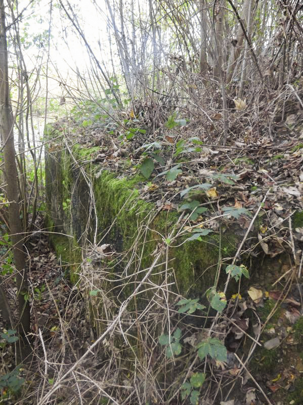 Ligne Maginot - BB29-A - CLOS ROLAND - (Blockhaus pour canon) -  - JMBrams