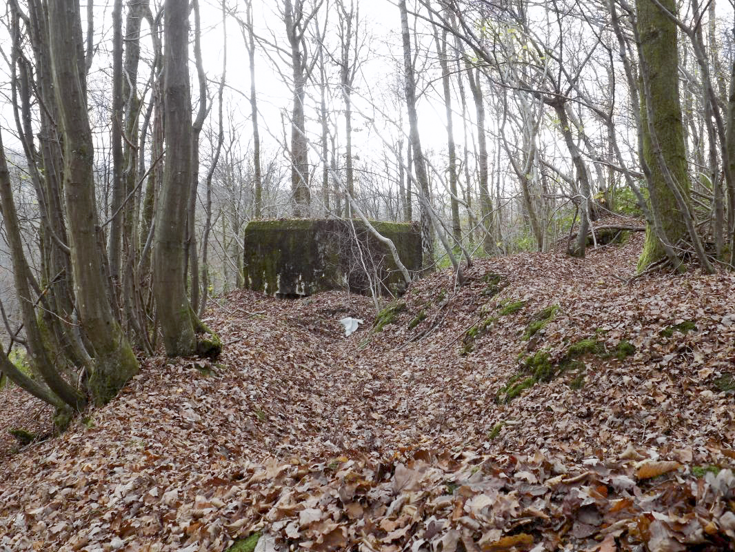 Ligne Maginot - BB29-B - LE CHARNOIS - (Blockhaus pour arme infanterie) - Vestige de tranchée vers l'entrée