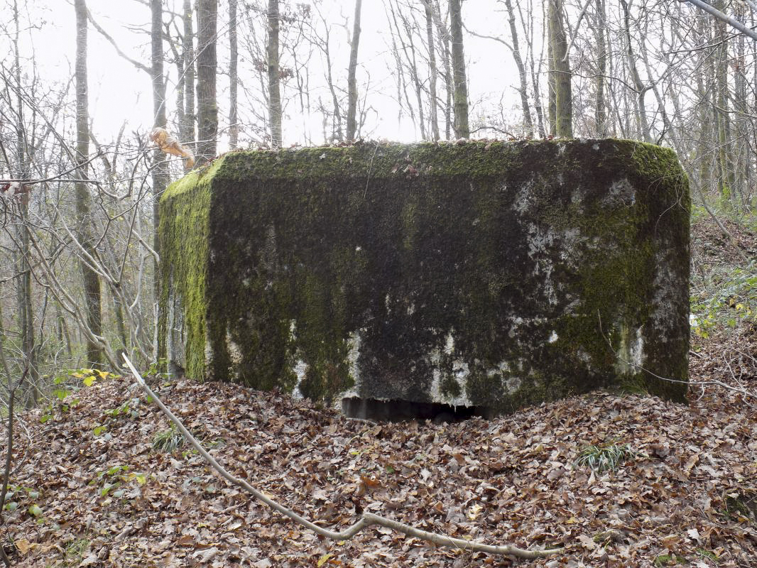 Ligne Maginot - BB29-B - LE CHARNOIS - (Blockhaus pour arme infanterie) - 