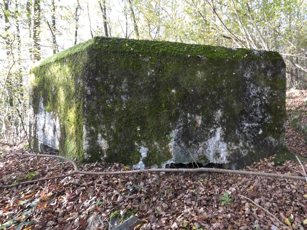 Ligne Maginot - BB29-B - LE CHARNOIS - (Blockhaus pour arme infanterie) - 