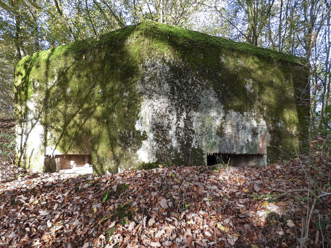 Ligne Maginot - BB29-B - LE CHARNOIS - (Blockhaus pour arme infanterie) - 