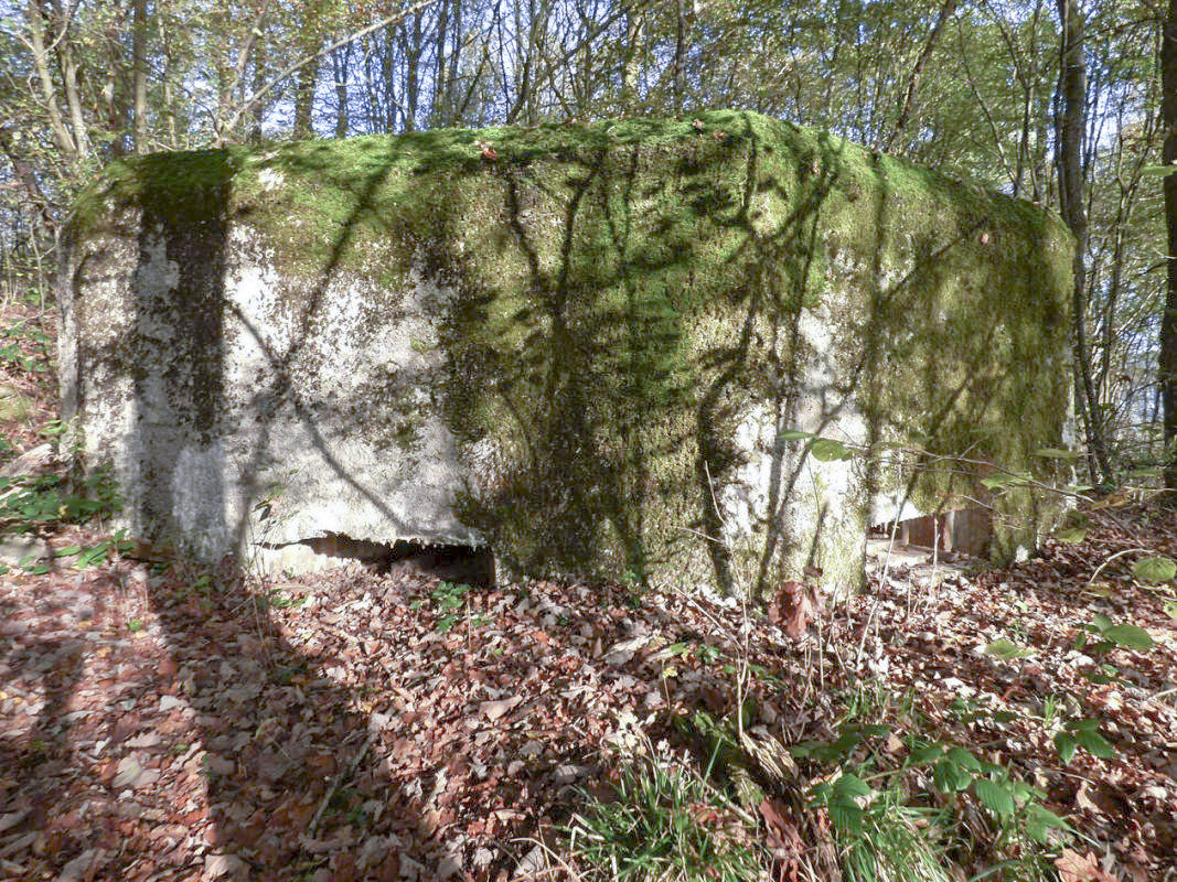 Ligne Maginot - BB29-B - LE CHARNOIS - (Blockhaus pour arme infanterie) - 