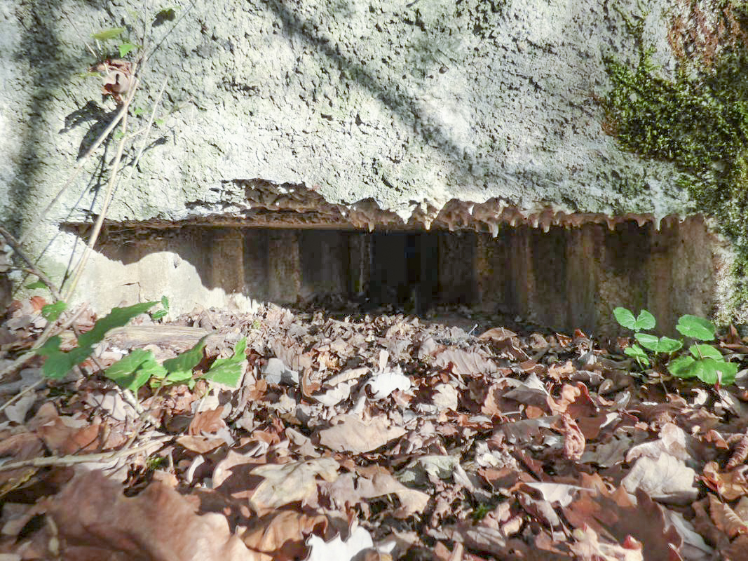 Ligne Maginot - BB29-B - LE CHARNOIS - (Blockhaus pour arme infanterie) - 