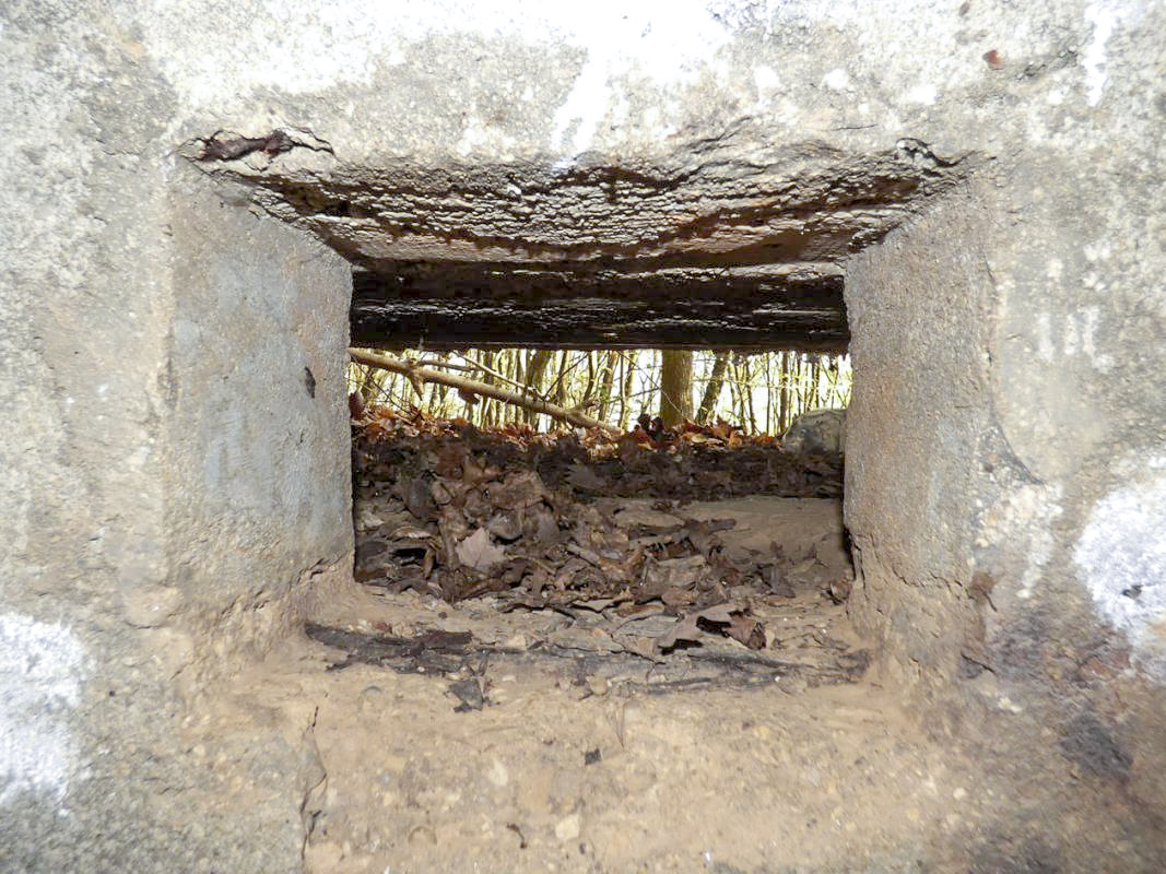 Ligne Maginot - BB29-B - LE CHARNOIS - (Blockhaus pour arme infanterie) - 