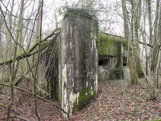 Ligne Maginot - CEZF-10BIS - BOIS DE BELLE-CORRE - (Casemate d'infanterie - Simple) - 