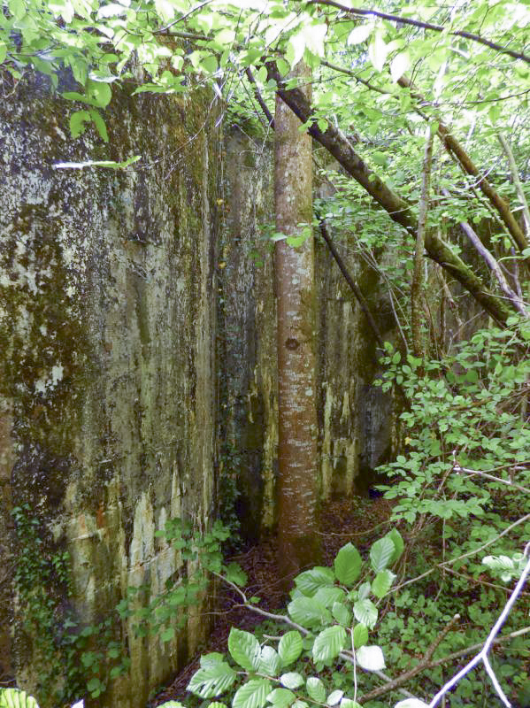 Ligne Maginot - CEZF-10BIS - BOIS DE BELLE-CORRE - (Casemate d'infanterie - Simple) - 