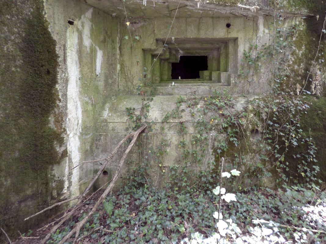 Ligne Maginot - CEZF-10BIS - BOIS DE BELLE-CORRE - (Casemate d'infanterie - Simple) - 