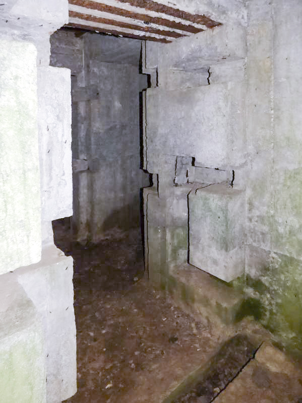 Ligne Maginot - CEZF-10BIS - BOIS DE BELLE-CORRE - (Casemate d'infanterie - Simple) - 