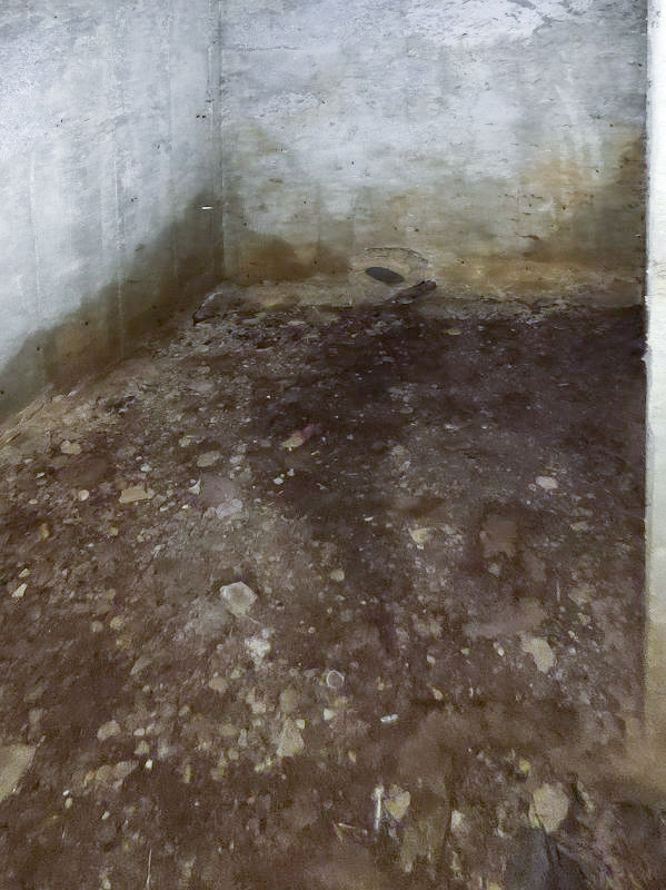 Ligne Maginot - CEZF-10BIS - BOIS DE BELLE-CORRE - (Casemate d'infanterie - Simple) - 