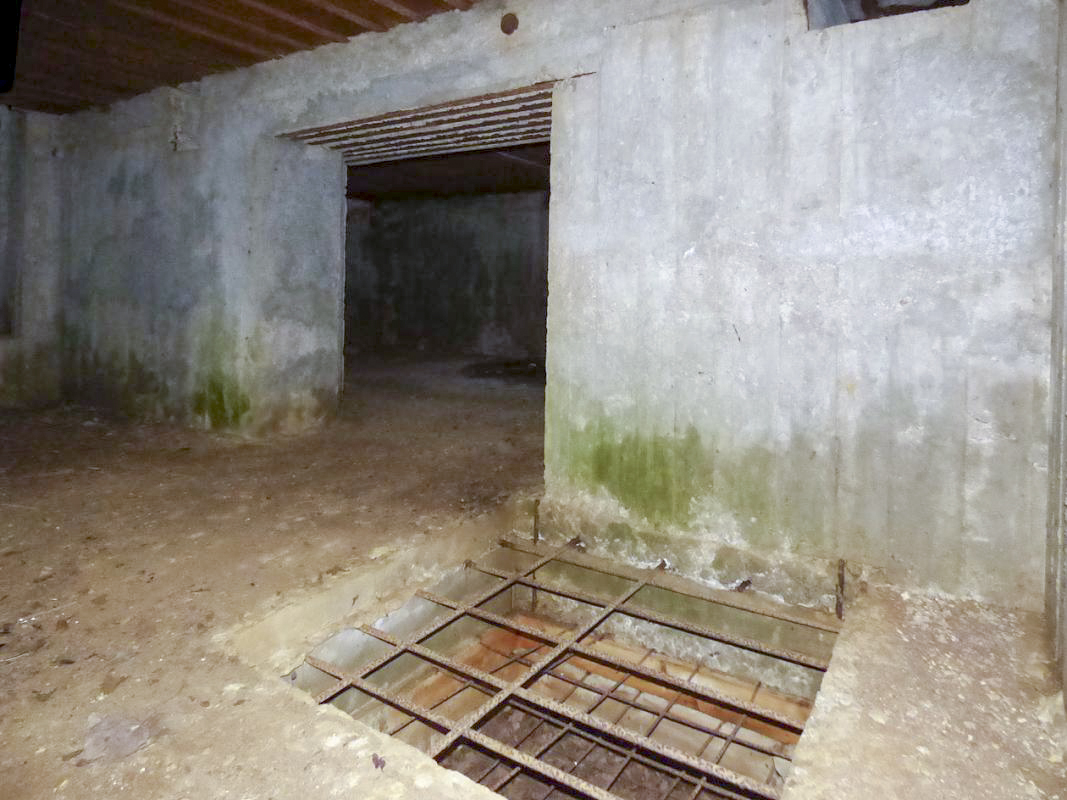 Ligne Maginot - CEZF-10BIS - BOIS DE BELLE-CORRE - (Casemate d'infanterie - Simple) - 