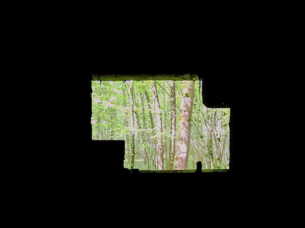 Ligne Maginot - CEZF-10BIS - BOIS DE BELLE-CORRE - (Casemate d'infanterie - Simple) - 