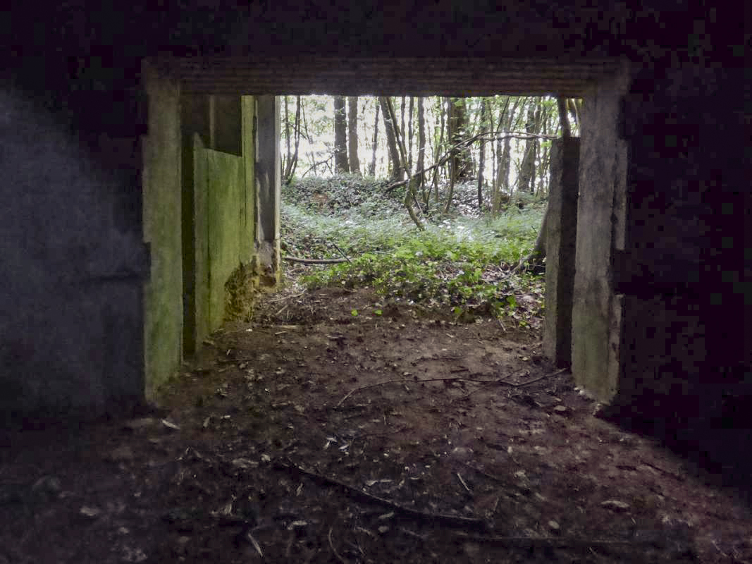 Ligne Maginot - CEZF-10BIS - BOIS DE BELLE-CORRE - (Casemate d'infanterie - Simple) - 