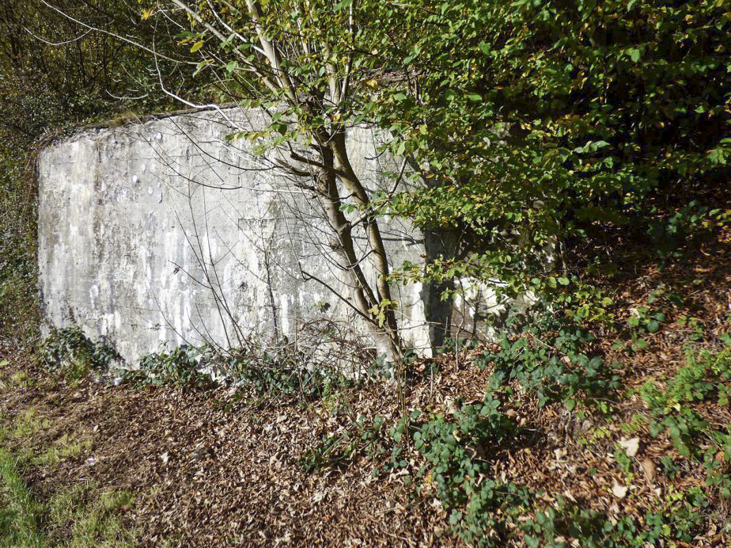Ligne Maginot - BB31-A - ANCIENNES ARDOISIERES - (Blockhaus pour canon) - 