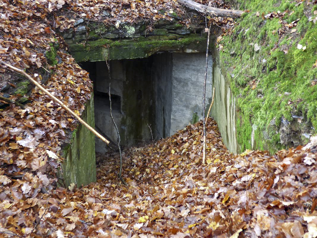 Ligne Maginot - BB31-B - BELLE FLEUR - (Blockhaus pour canon) - 