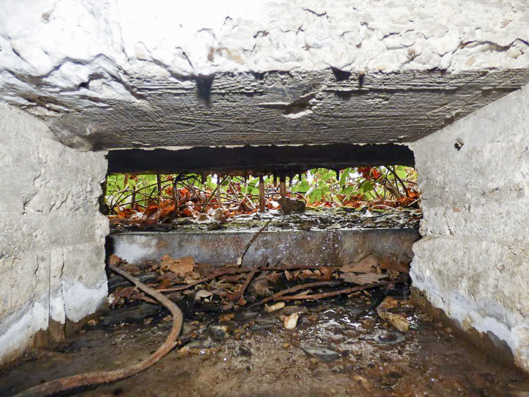 Ligne Maginot - BB31-B - BELLE FLEUR - (Blockhaus pour canon) - 