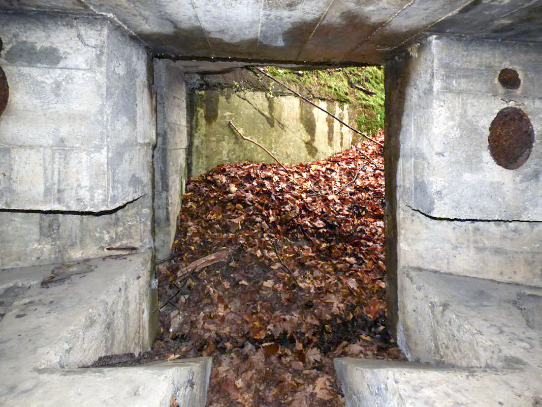 Ligne Maginot - BB31-B - BELLE FLEUR - (Blockhaus pour canon) - 