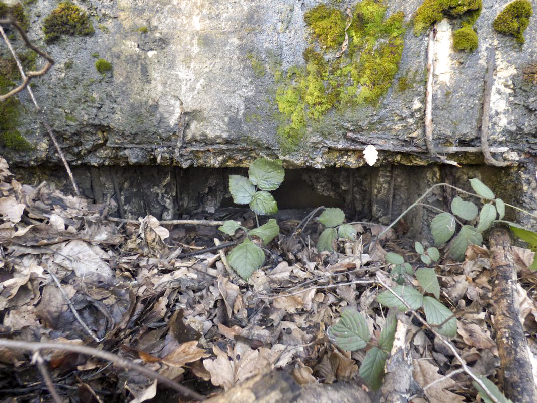 Ligne Maginot - BB32 - ROCHE TAILLEE - (Blockhaus pour arme infanterie) -  - JMBrams