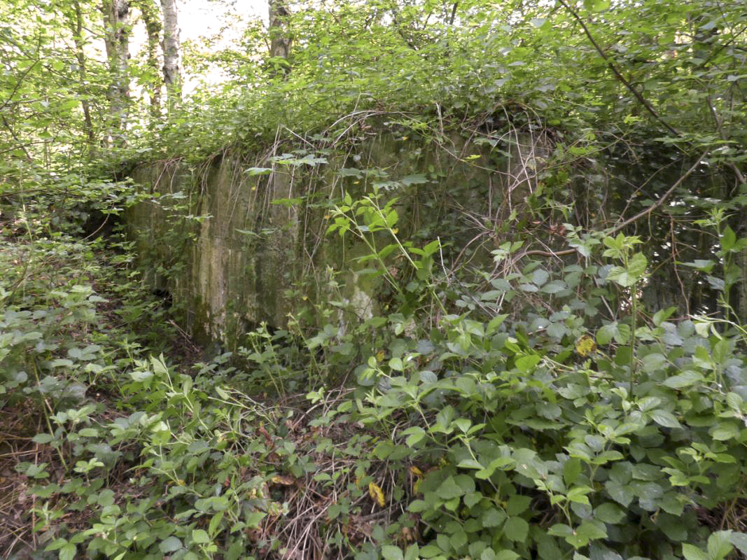 Ligne Maginot - BB35 - MOULIN DE REVIN - (Blockhaus pour arme infanterie) - 