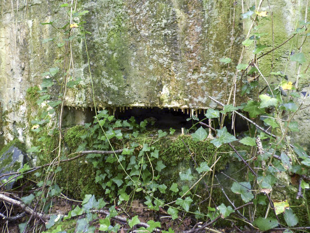 Ligne Maginot - BB35 - MOULIN DE REVIN - (Blockhaus pour arme infanterie) - 