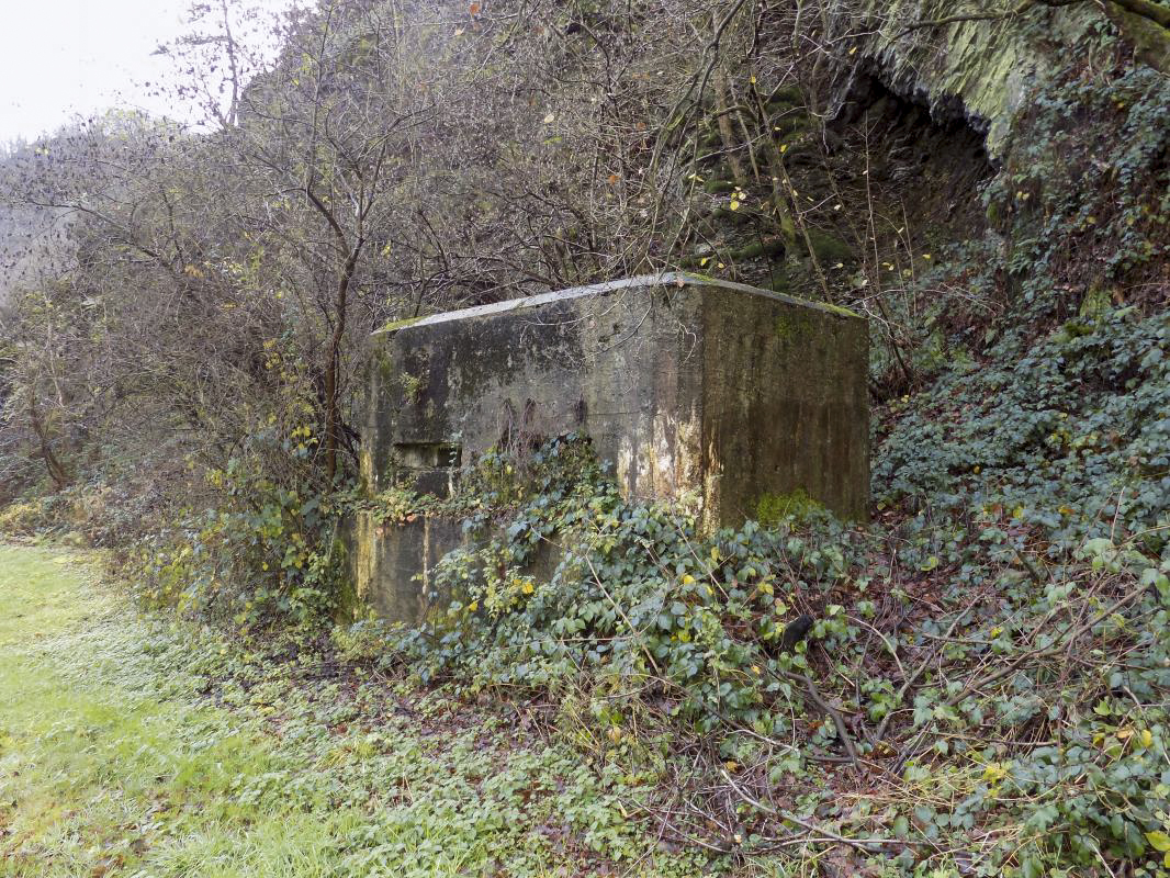 Ligne Maginot - BB38-A - LES ECUMONTS - (Blockhaus pour arme infanterie) - 