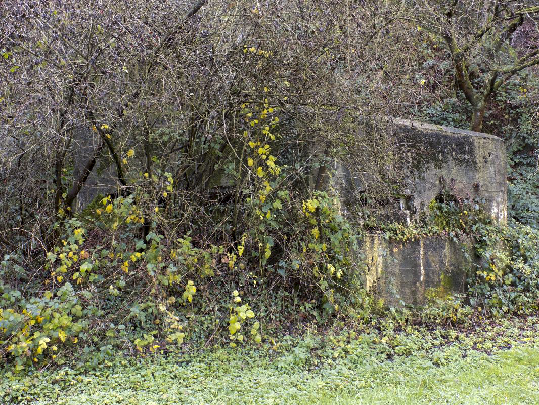 Ligne Maginot - BB38-A - LES ECUMONTS - (Blockhaus pour arme infanterie) - 