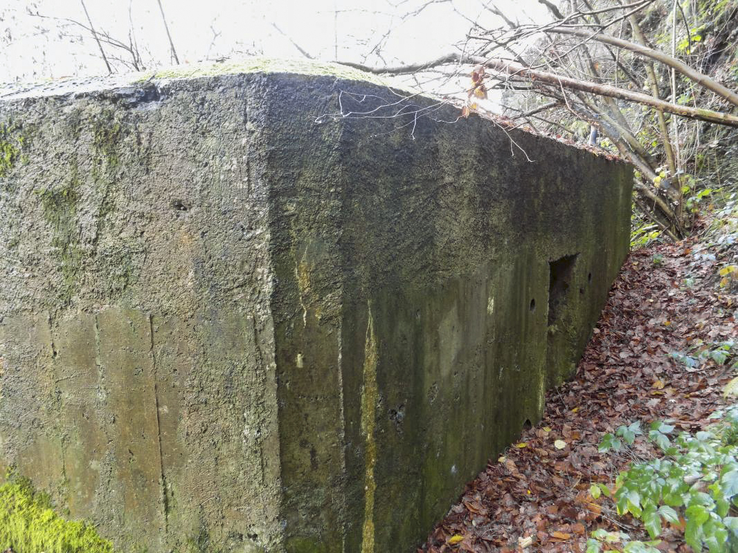 Ligne Maginot - BB38-A - LES ECUMONTS - (Blockhaus pour arme infanterie) - 