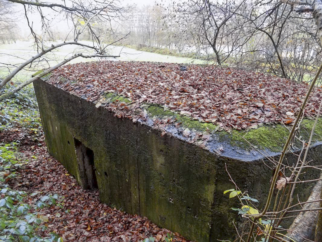 Ligne Maginot - BB38-A - LES ECUMONTS - (Blockhaus pour arme infanterie) - 