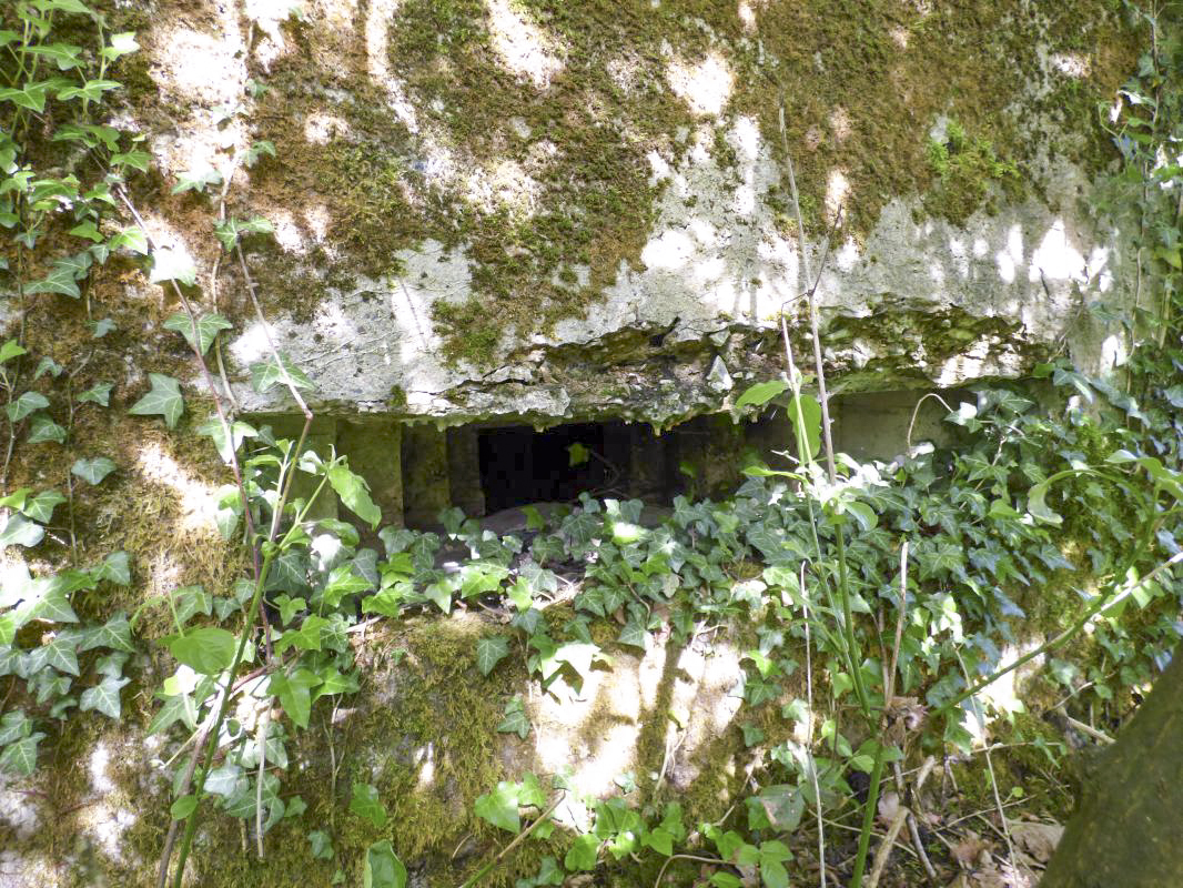 Ligne Maginot - BB38-A - LES ECUMONTS - (Blockhaus pour arme infanterie) - 