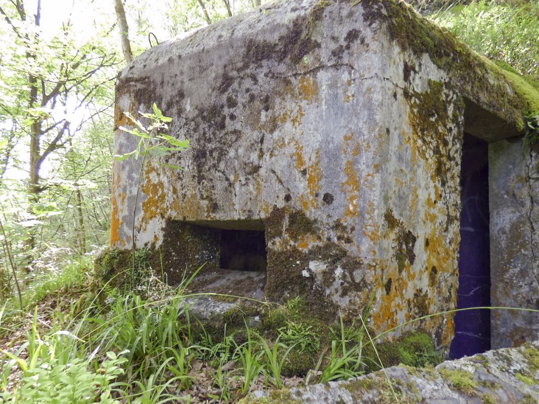 Ligne Maginot - Blockhaus Bb39-C - La PILLE -  - JMBrams