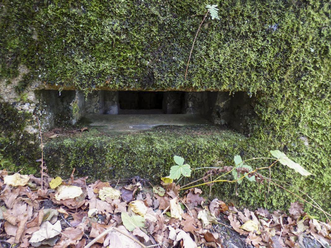 Ligne Maginot - BB40 - LES WEBES - (Blockhaus pour canon) - 