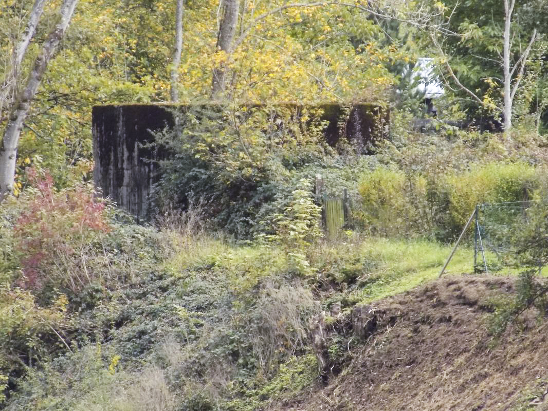 Ligne Maginot - BB44 - ANCHAMPS OUEST - (Blockhaus pour canon) - Faces frontale et gauche prises du pont