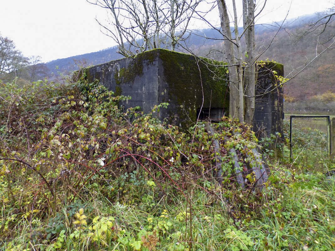 Ligne Maginot - BB44 - ANCHAMPS OUEST - (Blockhaus pour canon) - 