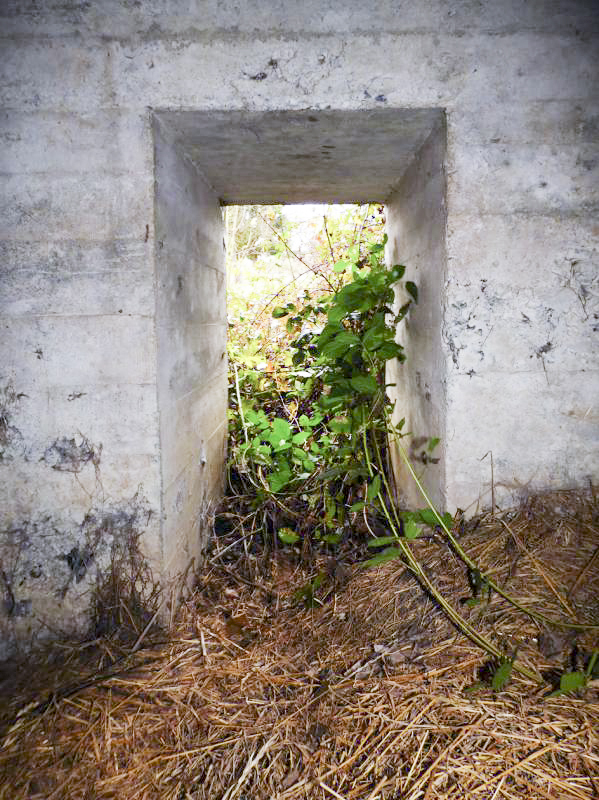 Ligne Maginot - BB44 - ANCHAMPS OUEST - (Blockhaus pour canon) - 