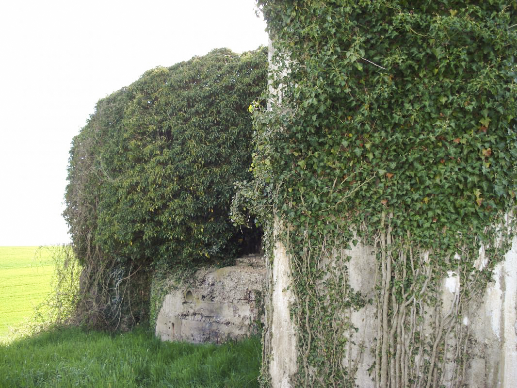 Ligne Maginot - CEZF-14 - POIX-TERRON OUEST - (Casemate d'infanterie - Double) - Face est