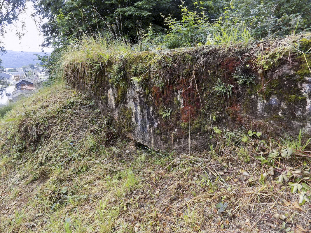 Ligne Maginot - BB12-A - BRAUX OUEST - (Blockhaus pour canon) - Face Face frontale