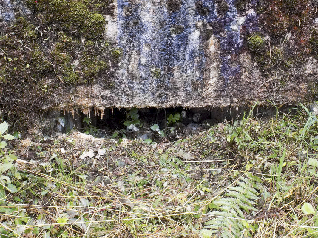 Ligne Maginot - BB12-A - BRAUX OUEST - (Blockhaus pour canon) - Face Face frontale, créneau AC