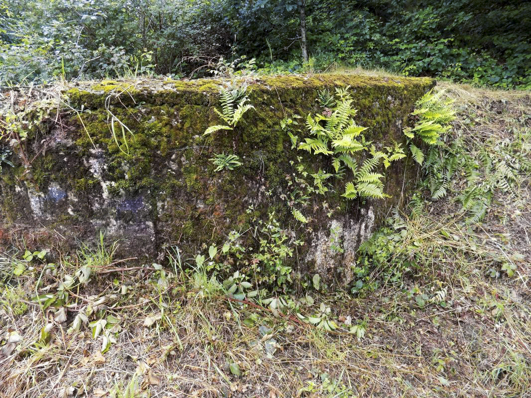 Ligne Maginot - BB12-A - BRAUX OUEST - (Blockhaus pour canon) - Face droite