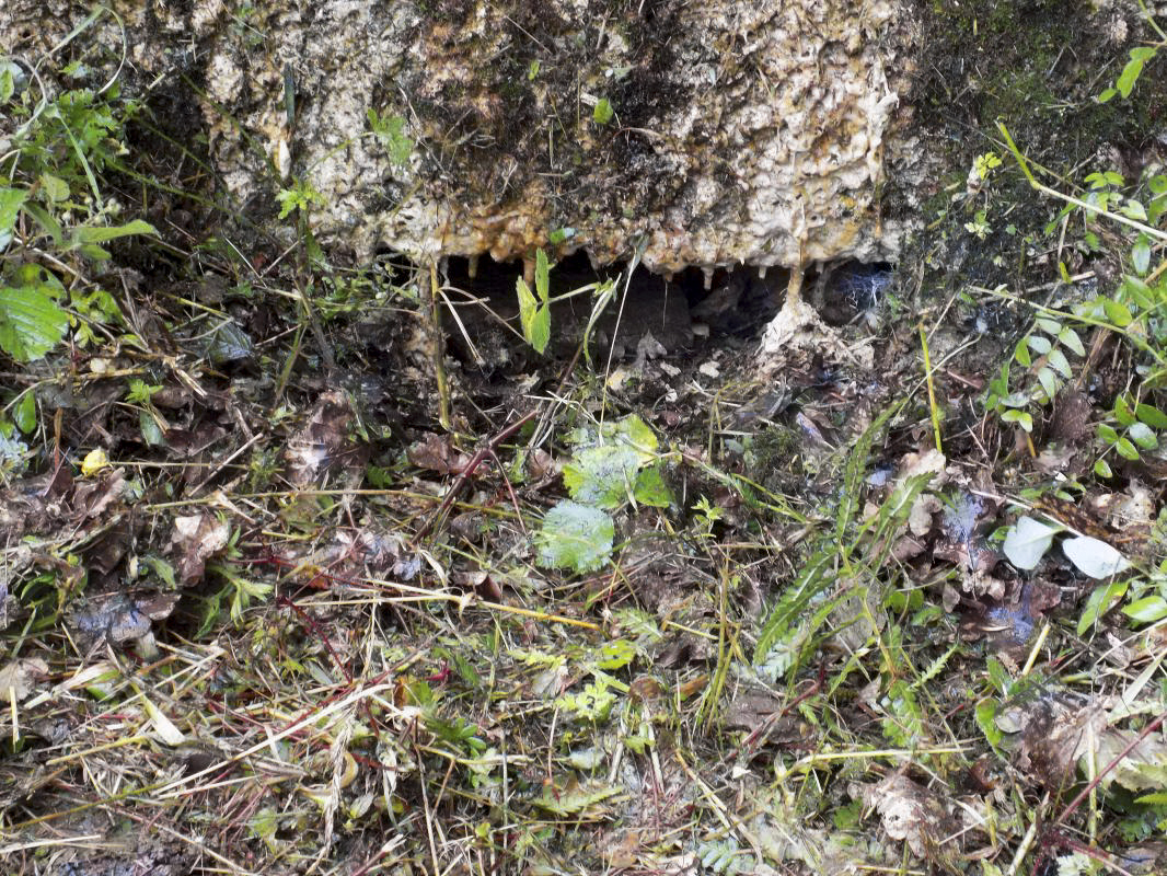 Ligne Maginot - BB12-A - BRAUX OUEST - (Blockhaus pour canon) - Face droite, créneau Hotchkiss