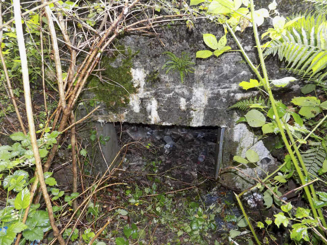 Ligne Maginot - BB12-A - BRAUX OUEST - (Blockhaus pour canon) - L'entrée AC