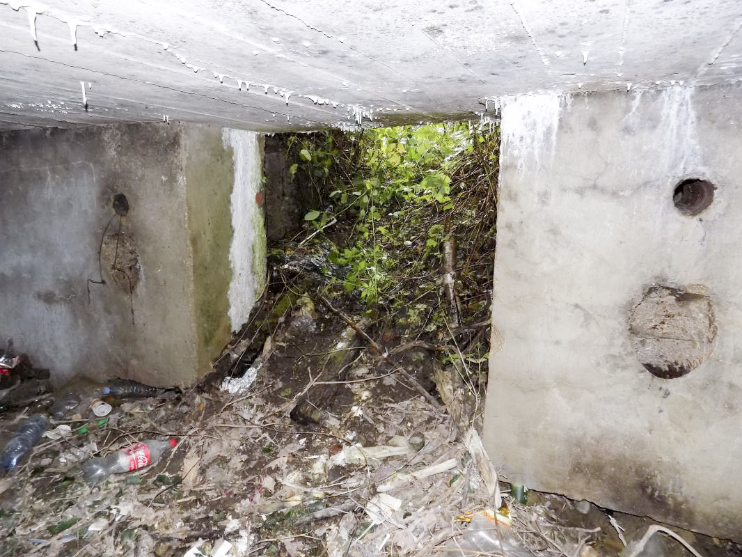Ligne Maginot - BB12-A - BRAUX OUEST - (Blockhaus pour canon) - L'entrée AC