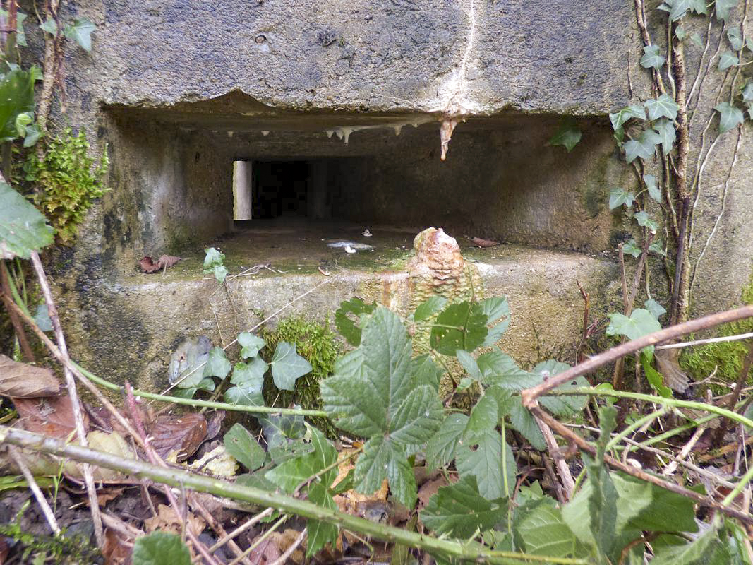Ligne Maginot - BB51 - LE PAS BAYARD - (Blockhaus pour arme infanterie) - 