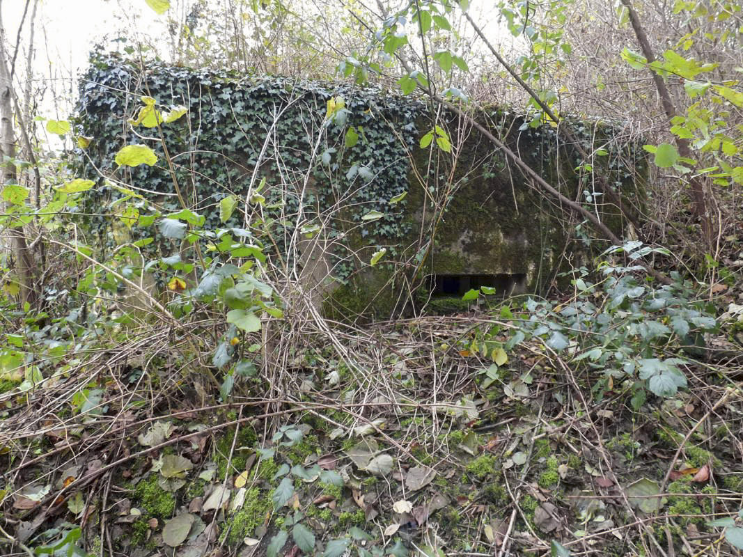 Ligne Maginot - BB51 - LE PAS BAYARD - (Blockhaus pour arme infanterie) -  - JMBrams