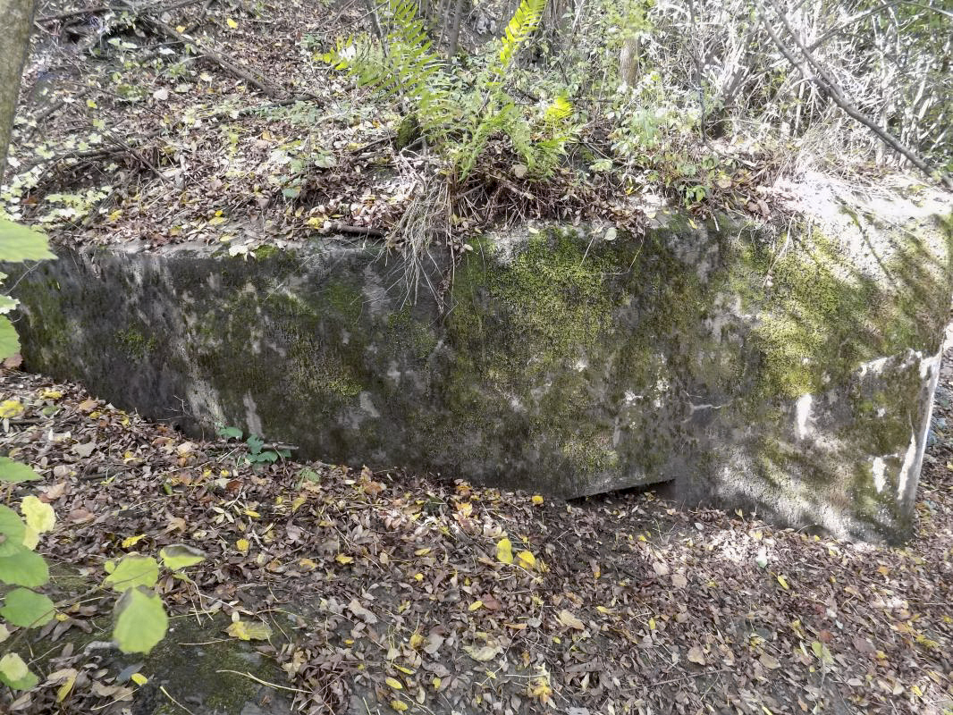 Ligne Maginot - BB52 - MAIRUPT - (Blockhaus pour canon) - Face droite, créneau Hotchkiss sous terre et créneau FM visible à droite