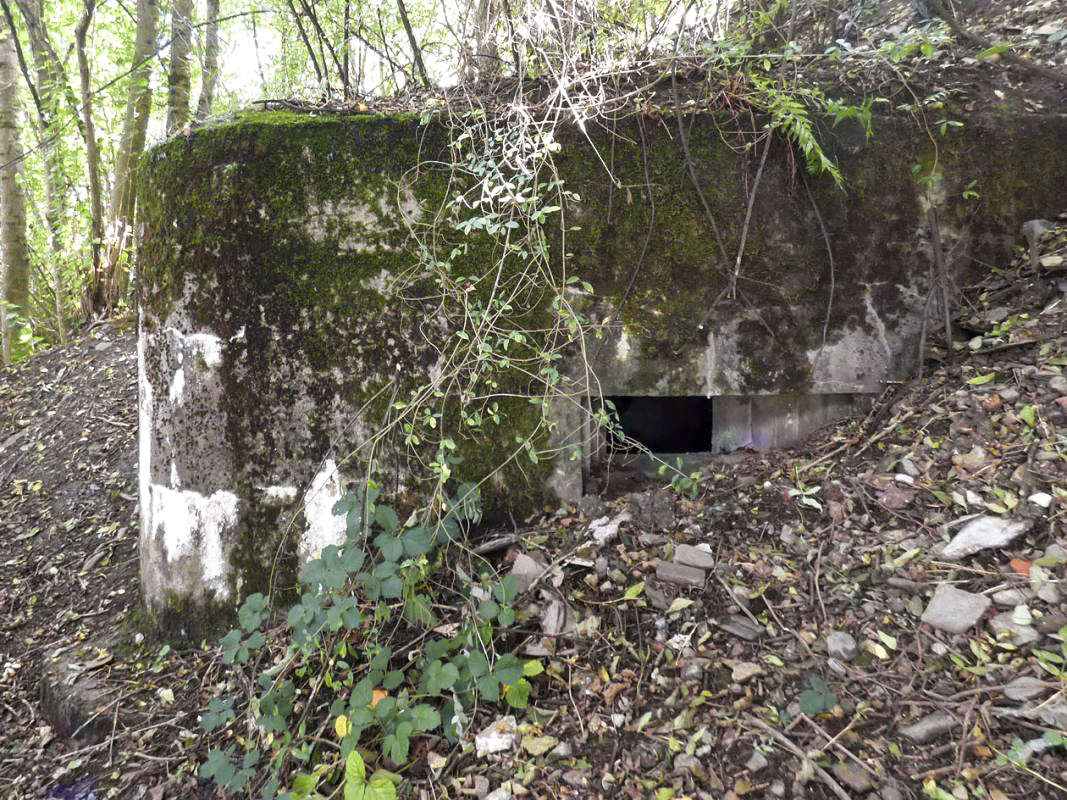 Ligne Maginot - BB52 - MAIRUPT - (Blockhaus pour canon) - 